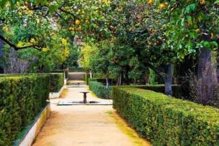 Los jardines del entorno del Palacio Mudéjar