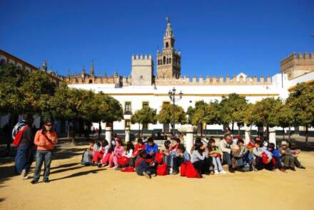 Visitas escolares en el Alcázar de Sevilla
